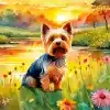 Cute Norwich Terrier Paint By Number