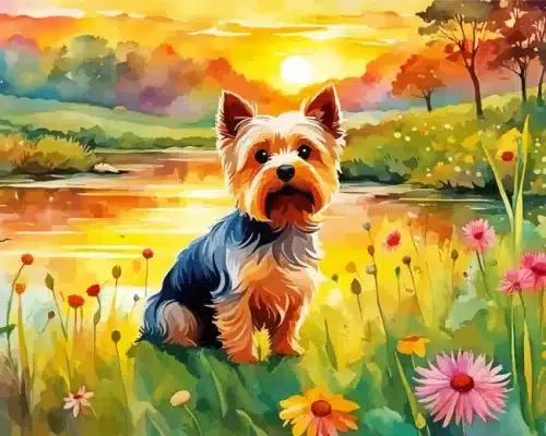 Cute Norwich Terrier Paint By Number