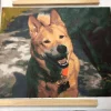 Custom Paint By Numbers​ Pets gal pic 1