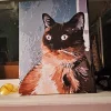 Custom Paint By Numbers​ Pets gal pic 2