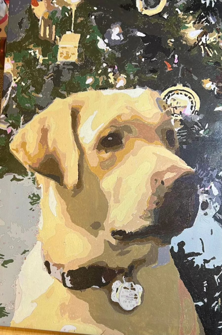 Custom Paint By Numbers​ Pets rev 1