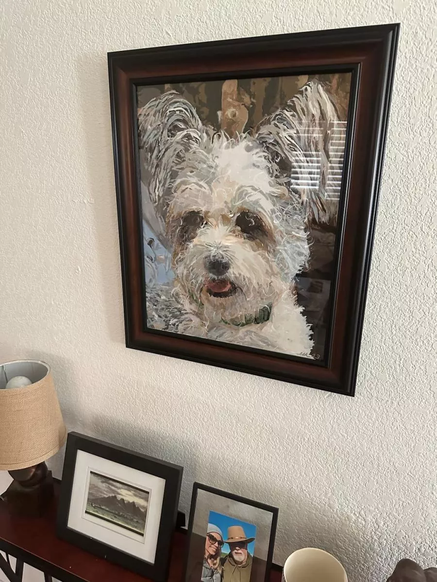 Custom Paint By Numbers​ Pets rev 3