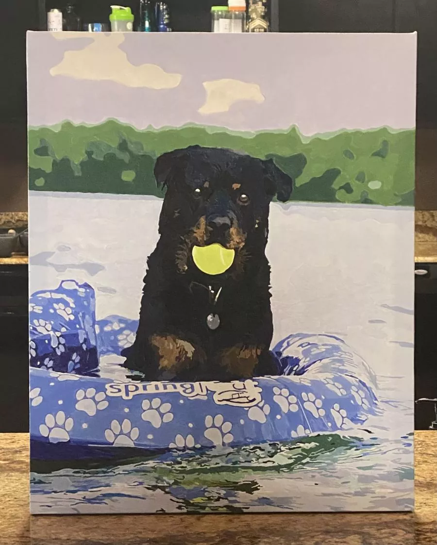 Custom Paint By Numbers​ Pets rev 6