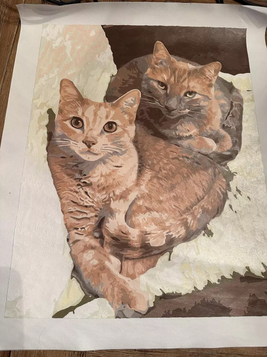 Custom Paint By Numbers​ Pets rev 7