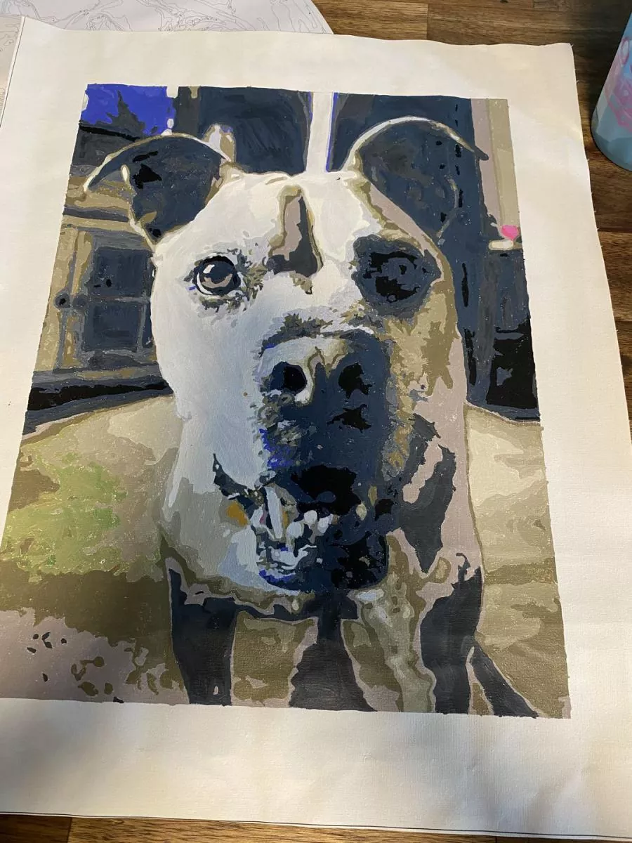 Custom Paint By Numbers​ Pets rev 8